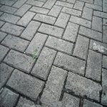 Paving Installers 6