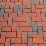 Paving Installers 9